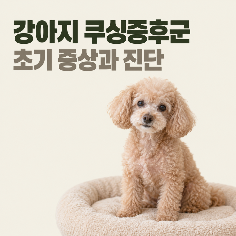 강아지 쿠싱증후군 초기 증상과 다음다뇨와 올챙이배 구별법
