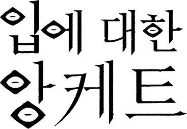 입에 대한 앙케트