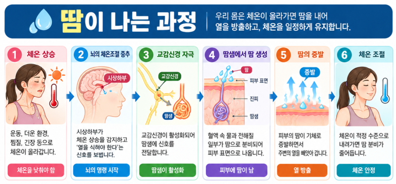 건강의 척도 땀