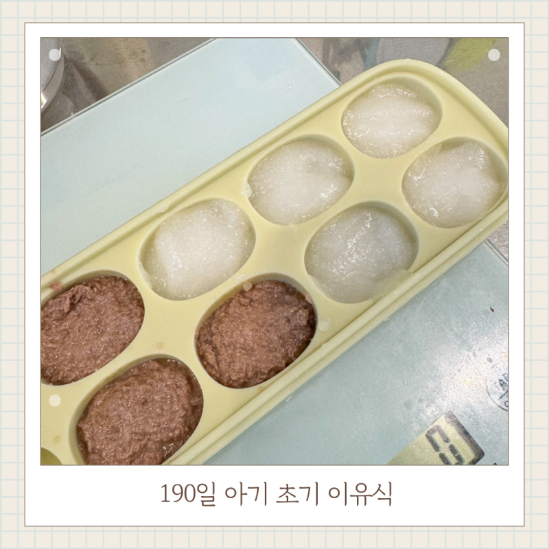 190일 아기 초기이유식 쌀가루 쌀미음10배죽부터 소고기이유식