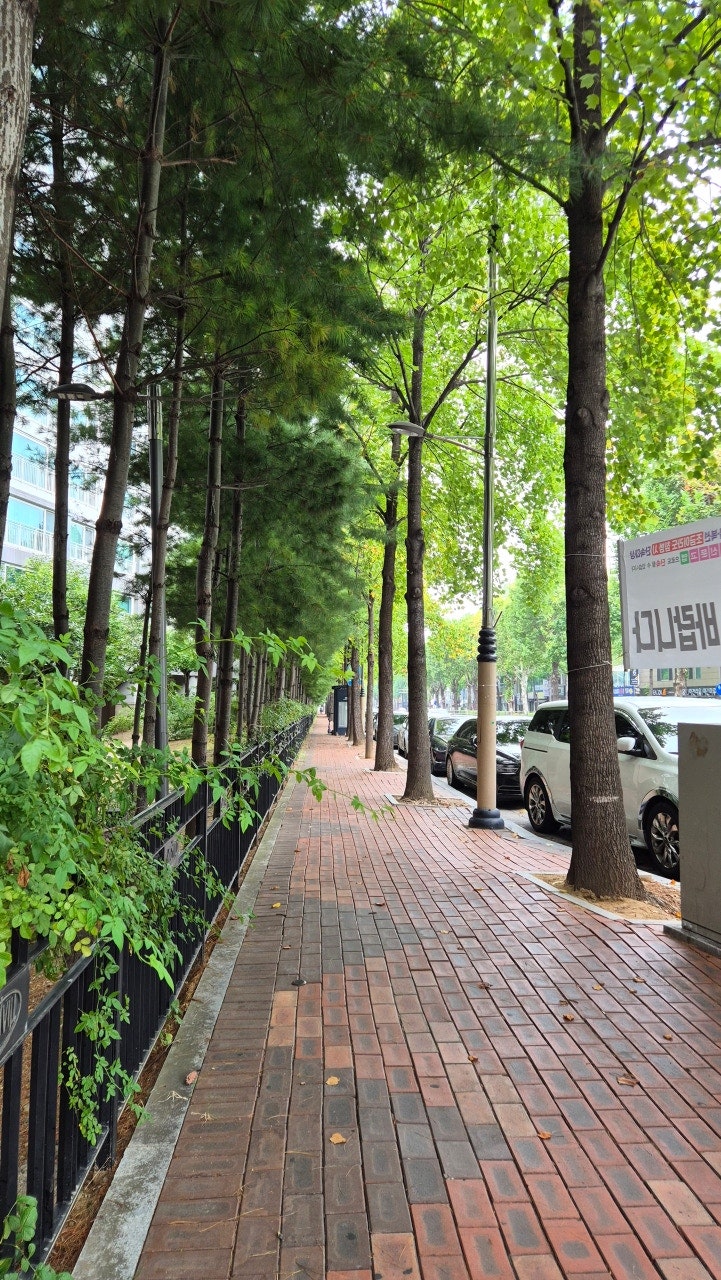 삼성 갤럭시 카메라 사진 JPG로 저장하는 방법｜카메라 설정 톱니바퀴 찾기