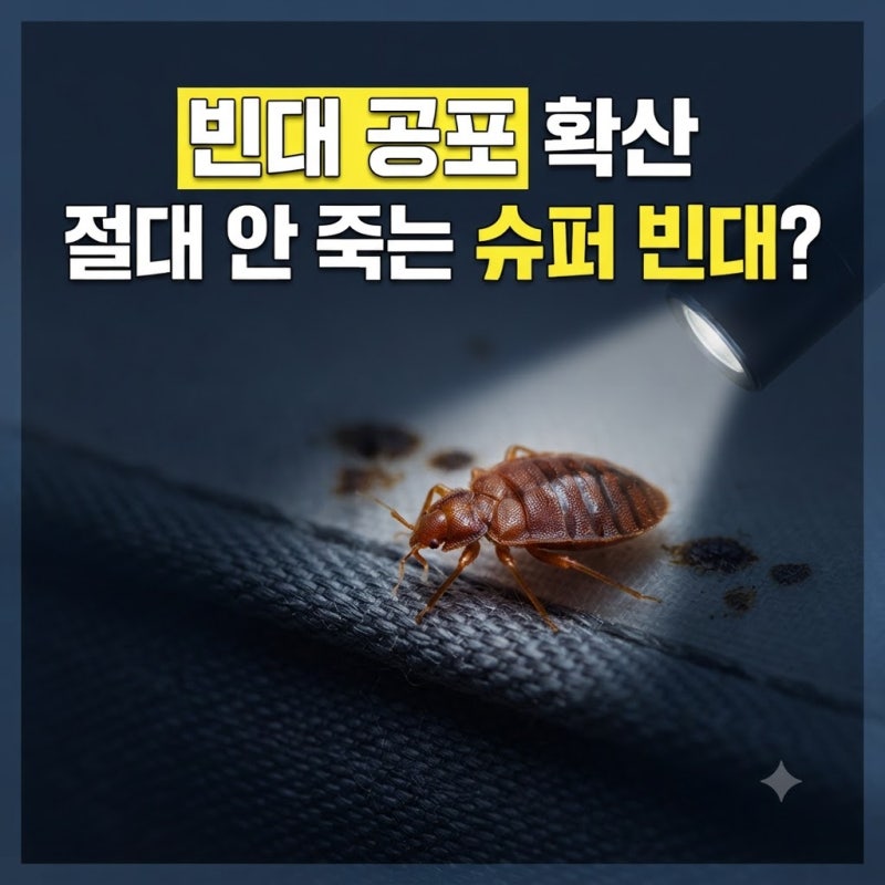 영도 찜질방을 발칵 뒤집은 빈대, 왜 박멸이 안 될까? 세스코도 두 손 들었다는 베드버그의 ....