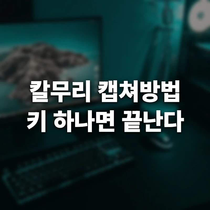 칼무리 캡쳐방법부터 설정 사용방법까지, 키 하나로 끝내려면 먼저 정할 2가지