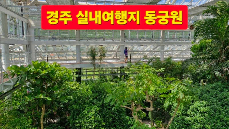 경주 가볼만한곳 실내 코스 경주 여행 동궁원 식물원