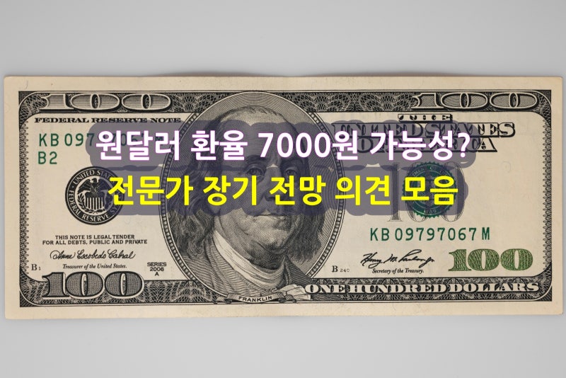 원달러 환율 7000원 가능성과 전문가 장기 전망 의견 (한미 성장률 관계)