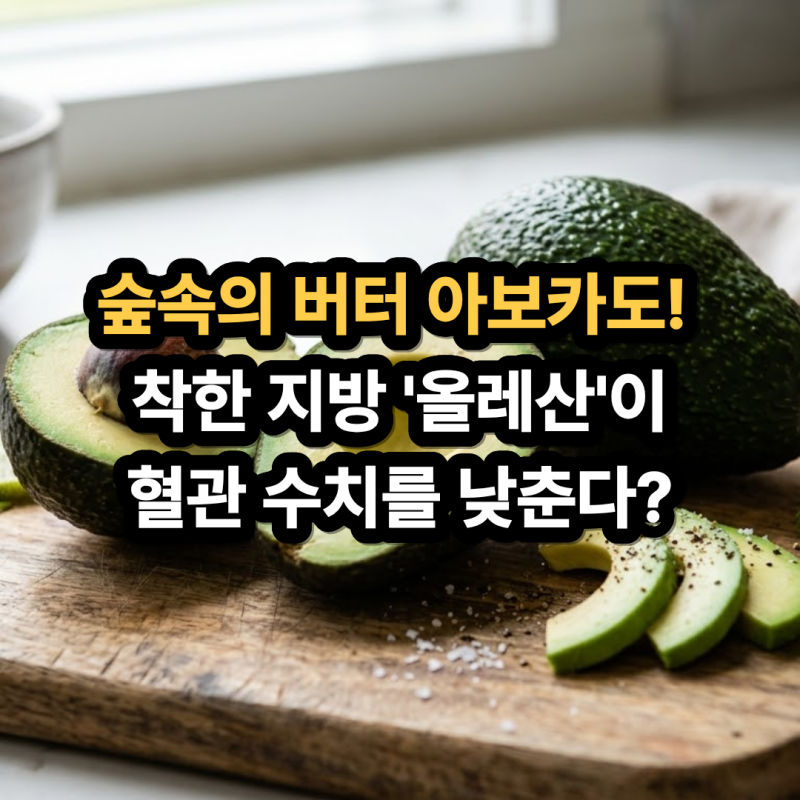 아보카도 효능과 부작용! 칼로리부터 당뇨·변비, 올바른 후숙 보관법