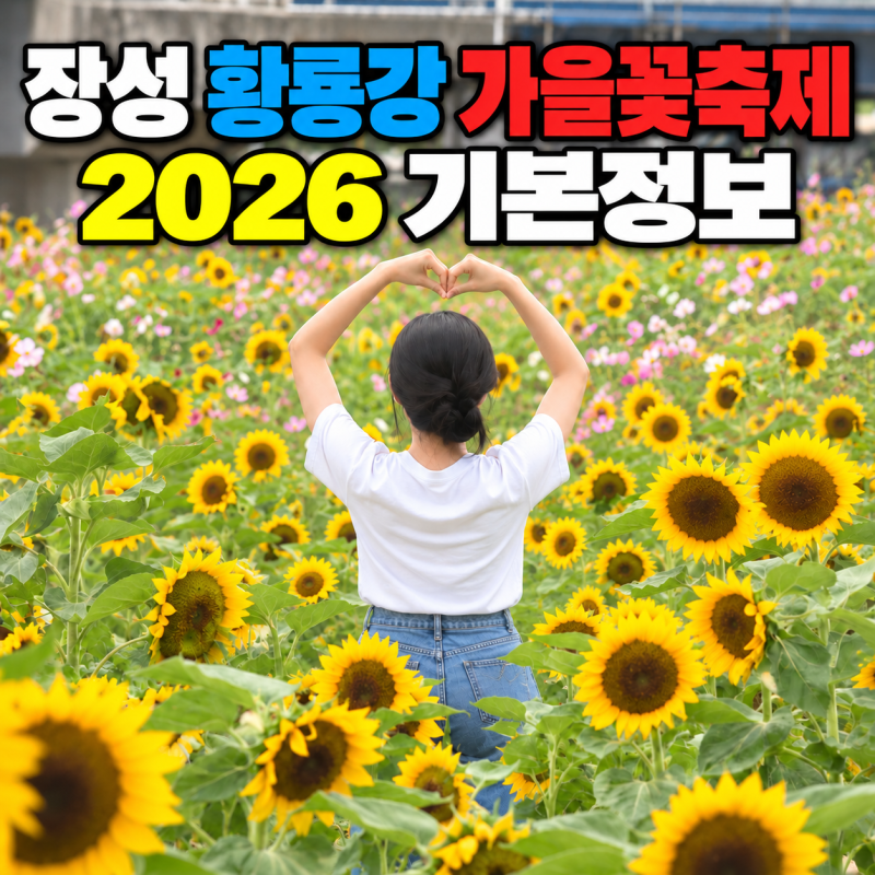 가볼만한 10월 여행지 장성 황룡강 가을꽃축제