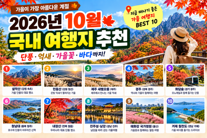 2026년 10월 국내 여행지 추천 BEST 10｜단풍·억새·가을꽃 명소 총정리