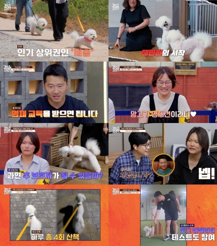 <b>개와 늑대의 시간</b>2 36회 강형욱 "약자는 망고" 문제의 뿌리는 자몽