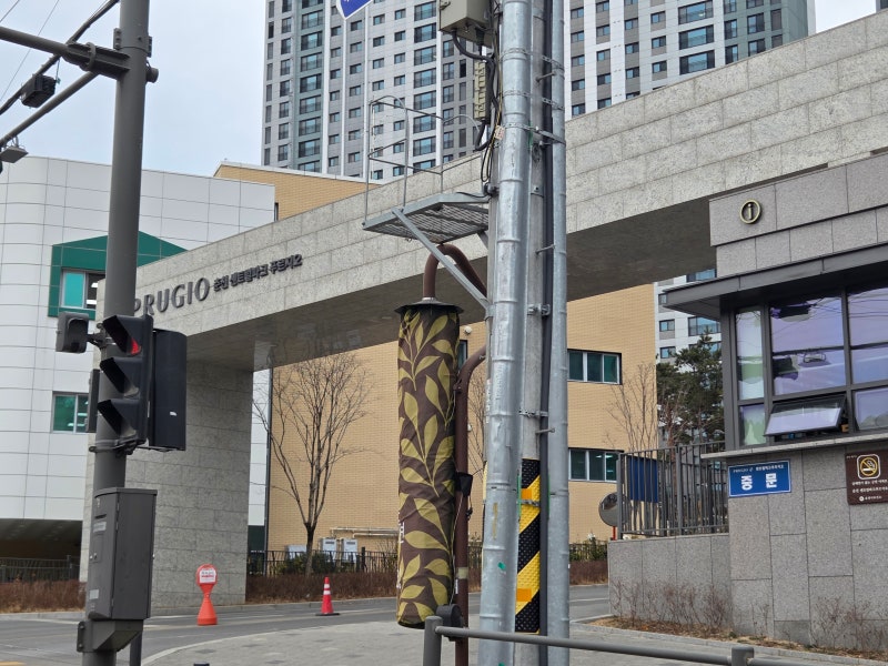 춘천 센트럴파크푸르지오에서 인천공항2터미널 대형택시 요금 및 오전 직접 운행 후기