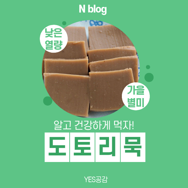 가을 별미 도토리묵 효능 부작용 먹는법 하루 섭취량 총정리