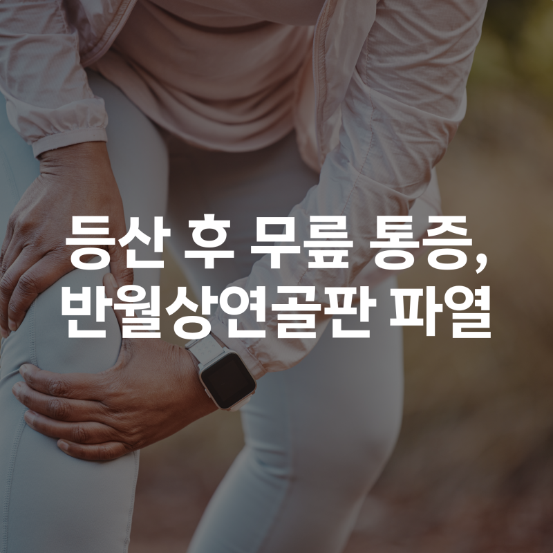 등산 후 무릎이 계속 아프다면? 반월상연골판 파열 확인 필요