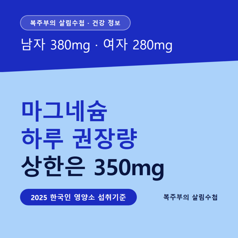 마그네슘 하루 권장량, 2025 개정 남녀별 수치와 상한 350mg