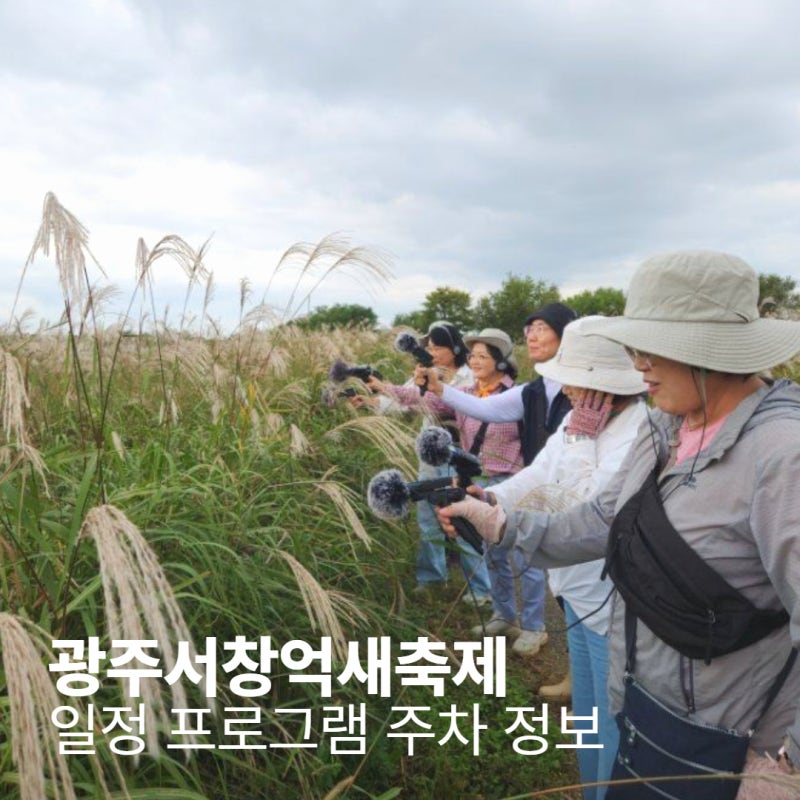 2026 광주서창억새축제 일정 프로그램 주차 정보 총정리