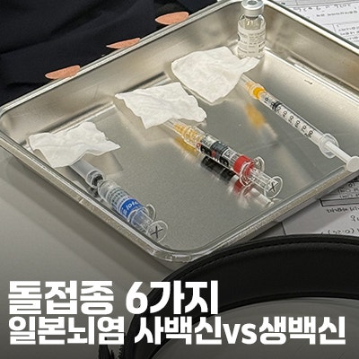 돌접종 6가지 종류 순서 시기ㅣ일본뇌염 사백신 생백신 차이