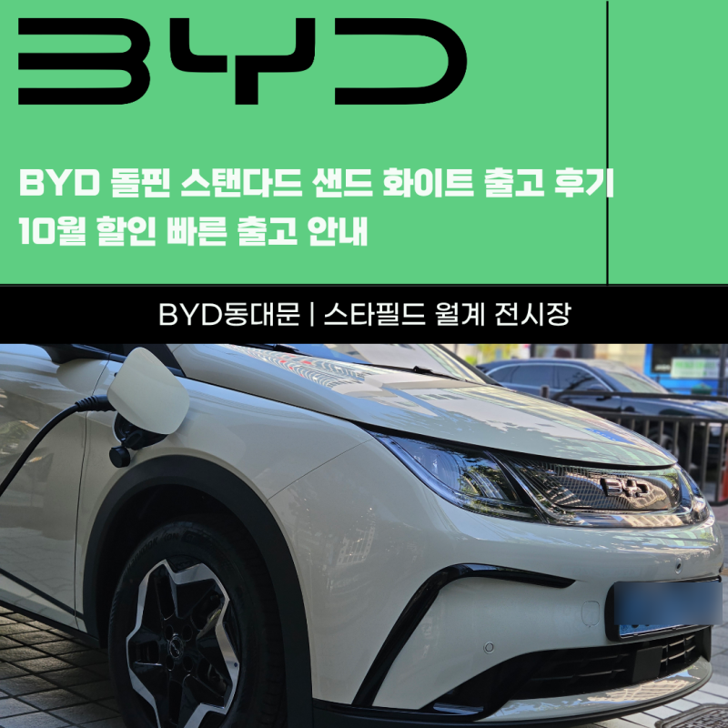 BYD 돌핀 스탠다드 샌드 화이트 출고 후기 10월 할인 빠른 출고 안내