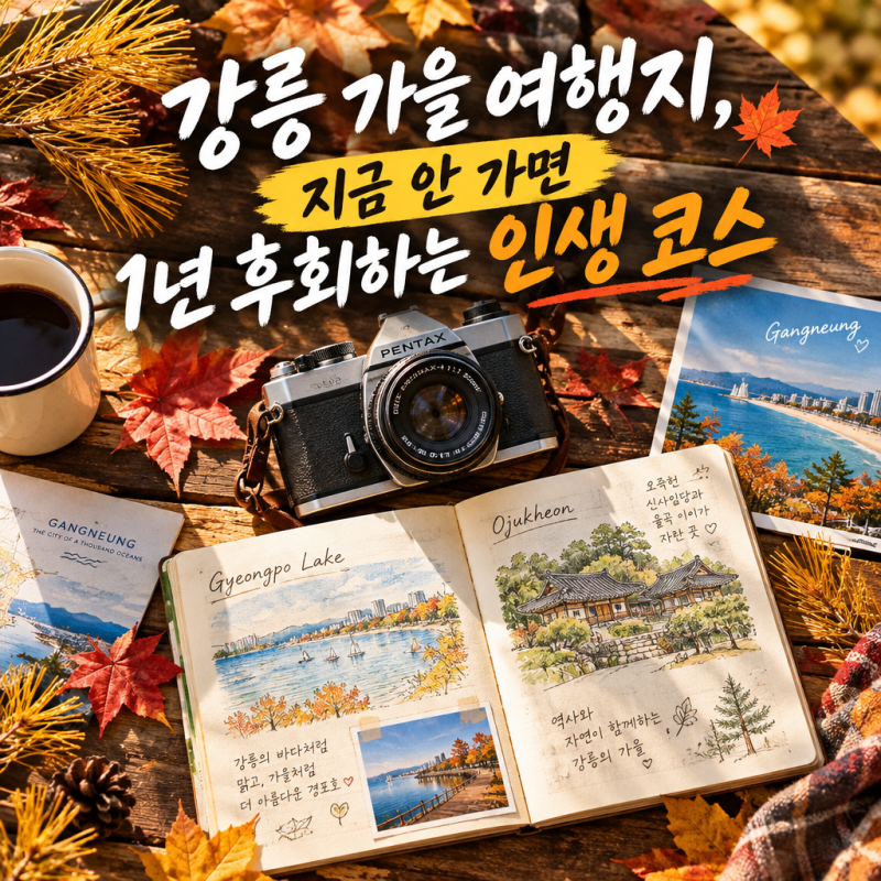 강릉 가을 여행지 추천 당일치기 코스 BEST 5 총정리! 오죽헌 선교장 허균허난설헌공원 경포호....