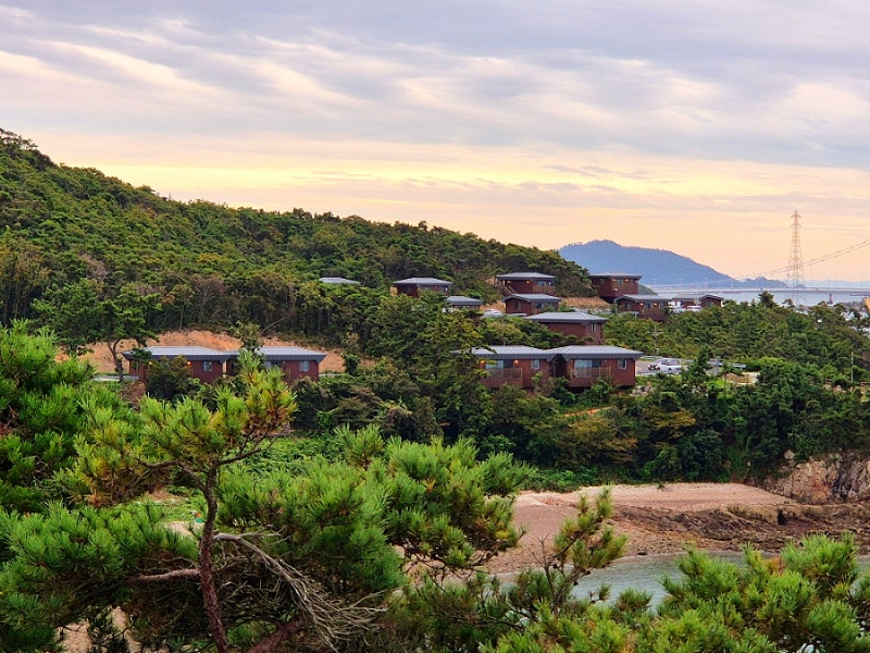 군산 가볼만한곳 국립신시도자연휴양림｜바다뷰 산책로 전망대까지 여행정보 총정리