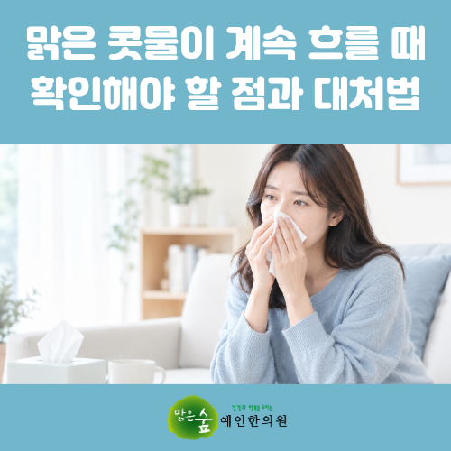 울산비염, 맑은 콧물이 멈추지 않고 계속 흐를 때 확인해야 할 점과 대처법 [호흡기질환 5부]