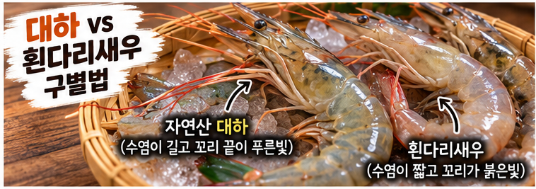 대하 흰다리새우 구별법부터 소금구이 시간까지｜10월 대하·전어·꽃게 제철 가이드