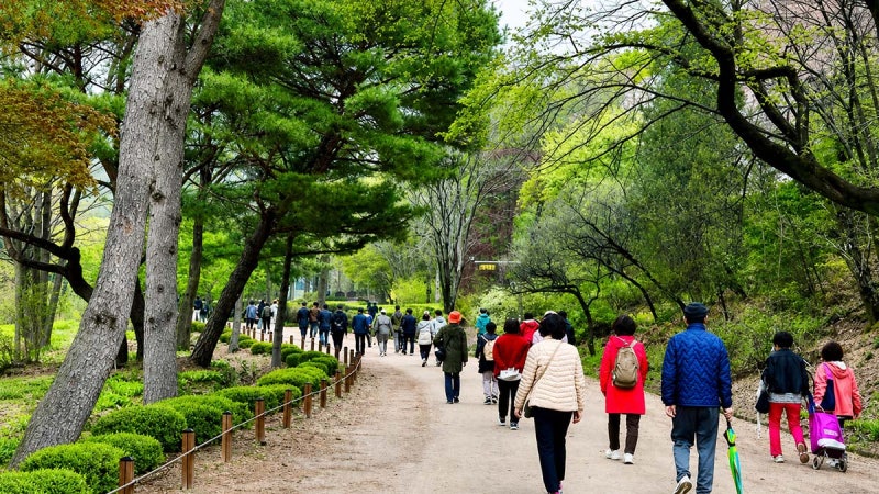 [안양 가볼만한곳] "58년 만에 비밀의 문이 열렸다!"… 3개의 산이 둘러싼 6만 평 원시림, 서울....