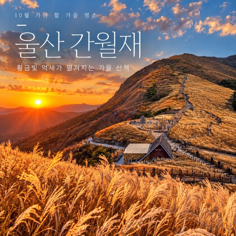2026 울산 간월재 억새 절정 시기, 10월에 꼭 가봐야 할 가을 명소