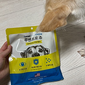 루멘프로 츄 오메가3 강아지 백내장 홈케어