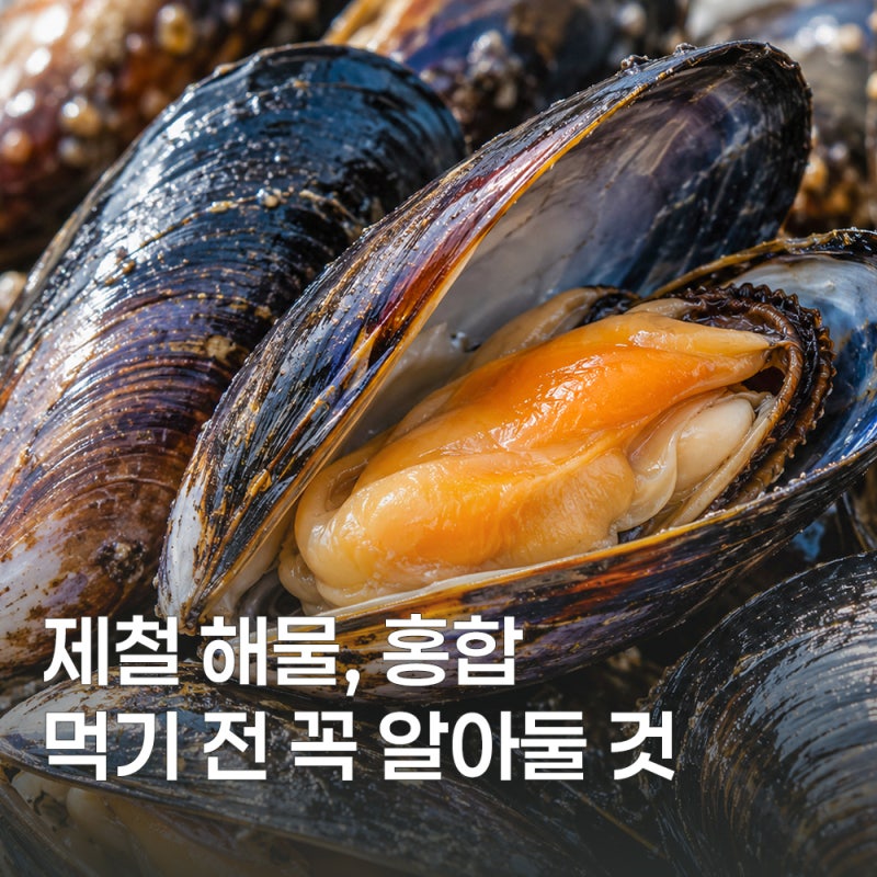 홍합 효능부터 손질법까지 알아보기