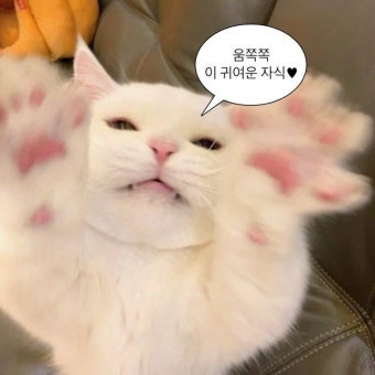 2026년 10월 청주 가볼 만한 곳 총정리 축제,행사,데이트,놀거리,볼거리 모음집