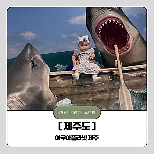 [제주도] 6개월 아기랑 다녀온 아쿠아플라넷 제주 찐후기 (공연후기 & 인생샷 포토존 & 상어 ....