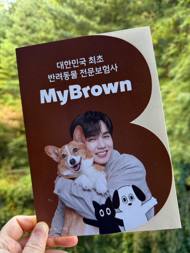 마이브라운 펫보험 1년 경험한 솔직 후기 (강아지/고양이 펫보험 비교 및 장단점)