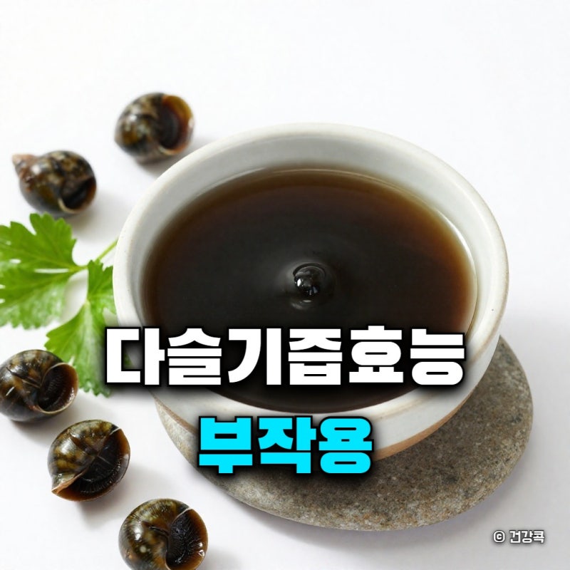 다슬기즙 효능 부작용, 엑기스와 진액 차이점은?
