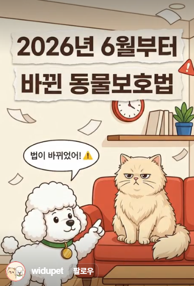 2026년 반려견 동물등록 자진신고 총정리"9~10월, 아직 동물등록을 안 했다면 지금이 바로 등록....