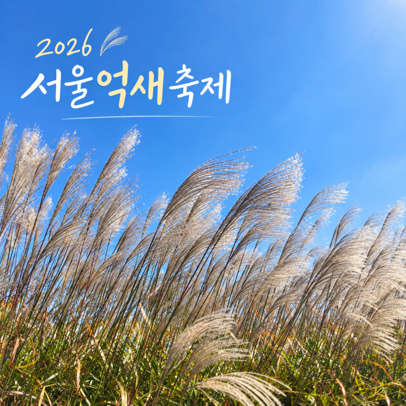 2026 서울억새축제 하늘공원ㅣ억새 절정 시기·맹꽁이열차·주차·야간개장