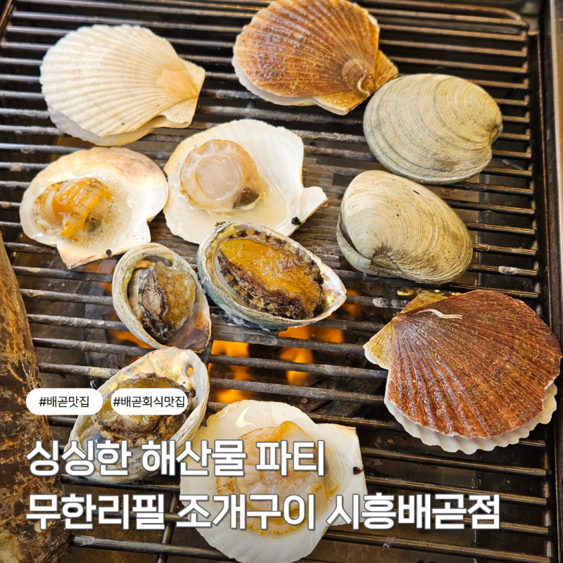 배곧 신시아 맛집 무한리필 조개구이ㅣ이용 시간 무제한