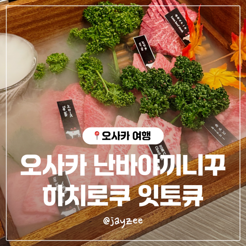 오사카 난바야끼니꾸 맛집 하치로쿠 잇토규에서 인생 야끼니꾸 먹은 후기