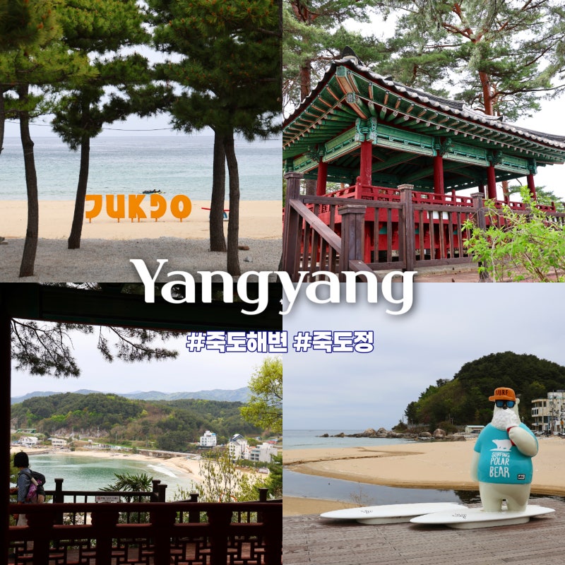 가을여행 양양가볼만한곳 죽도해수욕장 그리고 전망 경치좋은곳 죽도정