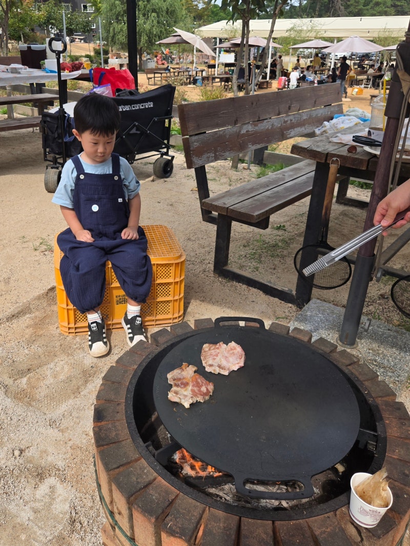 아이와 체험 | 파주 헤이리 농원 (바베큐, 밤따기, 배따기 체험) / 준비물, 내돈내산 후기