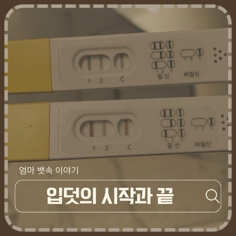 입덧 시작 시기 총정리, 주수별 증상과 끝나는 시기