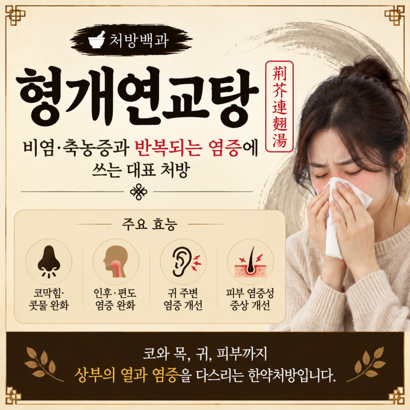[한약처방] 비염·축농증과 반복되는 염증에 사용하는 대표 처방, 형개연교탕 이야기