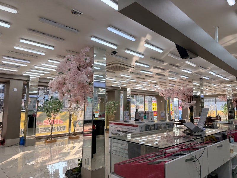 [울산휴대폰성지] 약정 끝나고 기기 변경 없이 알뜰폰 점프! '여기다휴대폰 태화점'에서 통신....