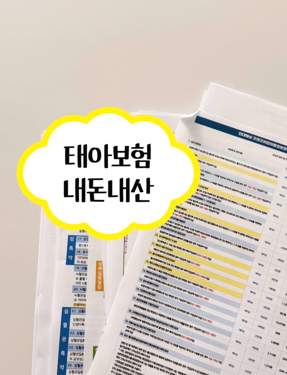 현대해상 태아보험 임산부특약 (비교 분석 끝) 내돈내산 특약 추천