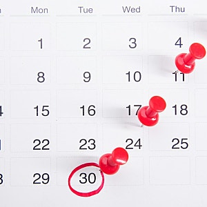 종근당 밀크씨슬 야근하며 4주간 챙겨 먹은 내돈내산 변화