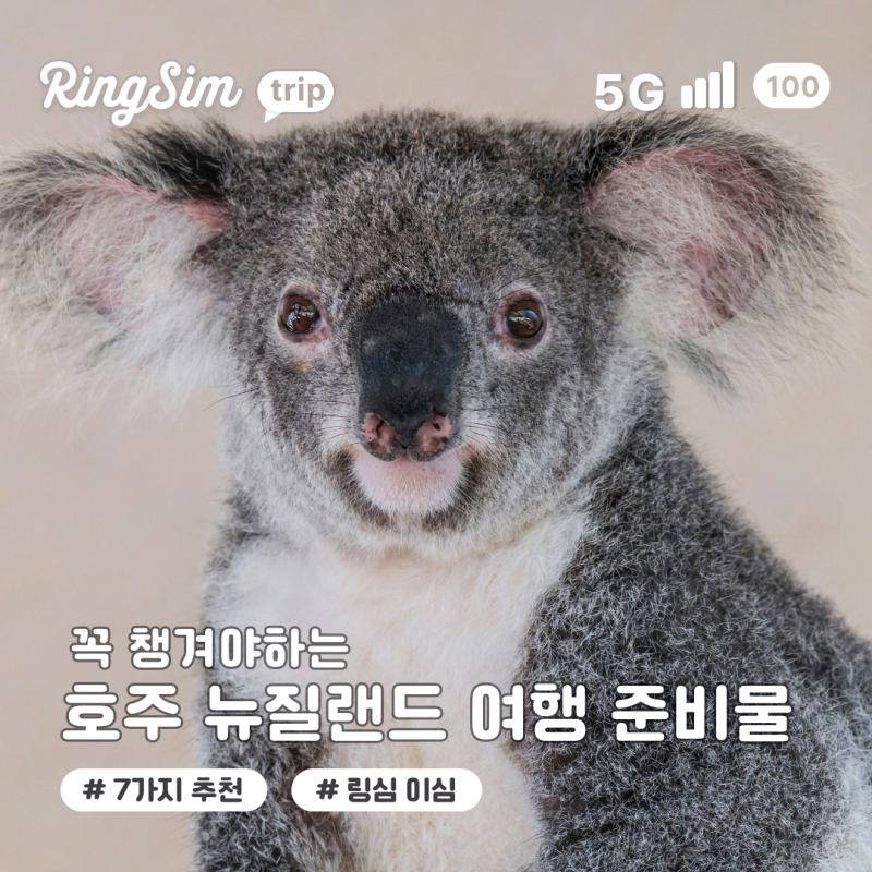 호주 여행 준비물 체크리스트! 출국 전 꼭 챙겨야 할 7가지