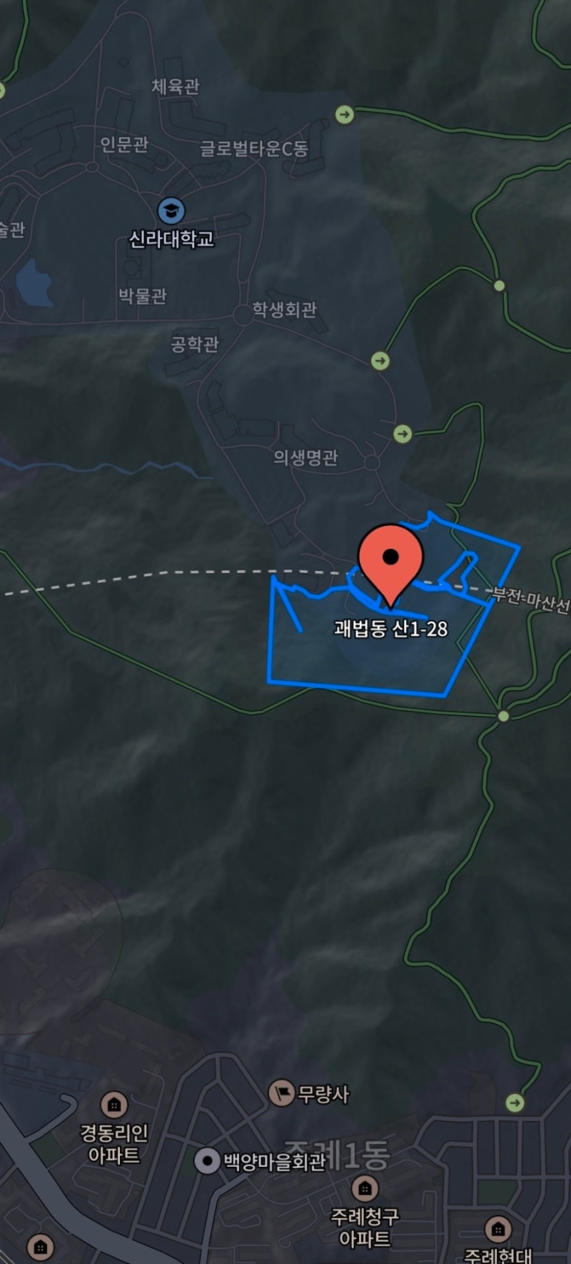 Wild Boar Sighting Near Shilla University Sports Field, 1-28 Gwaebeop-dong, Sasang-gu, Busan