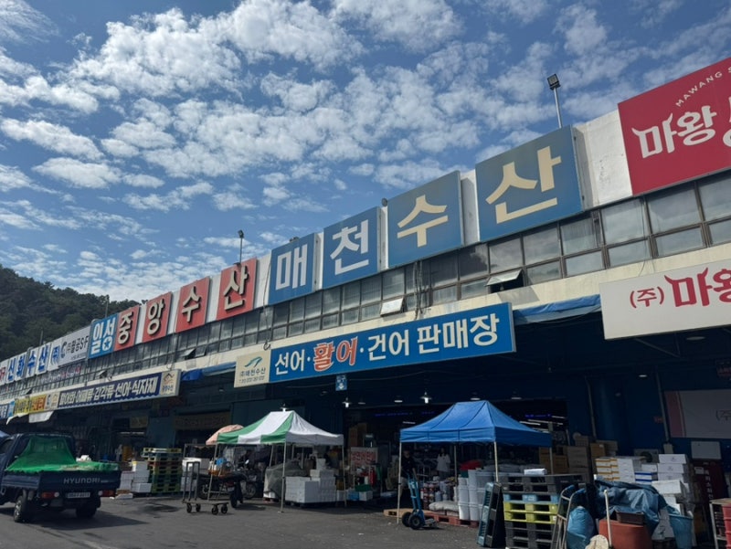 [대구 북구]매천수산시장 '동남수산' 가성비 해산물 전어 생새우 회 포장