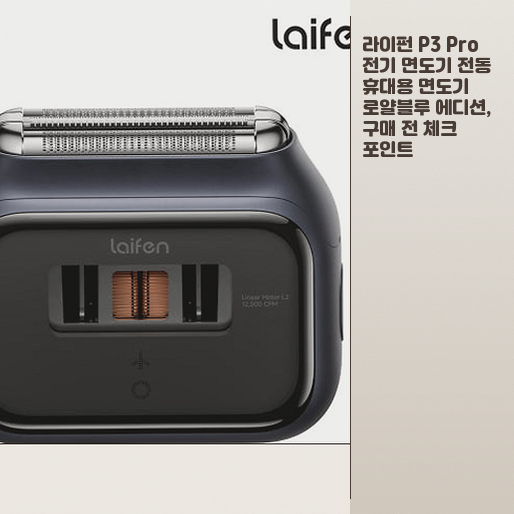 라이펀 P3 Pro 전동 면도기, 사기 전 고민