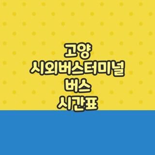 고양 시외버스터미널 버스 시간표 및 예매 방법 직접 확인해보니 (2026 최신)