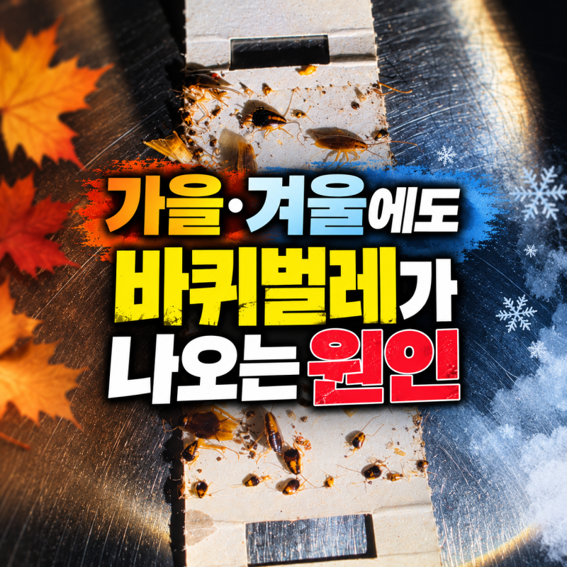 부산 사하구·강서구 음식점｜가을·겨울에도 바퀴벌레가 나오는 이유 원인 정리