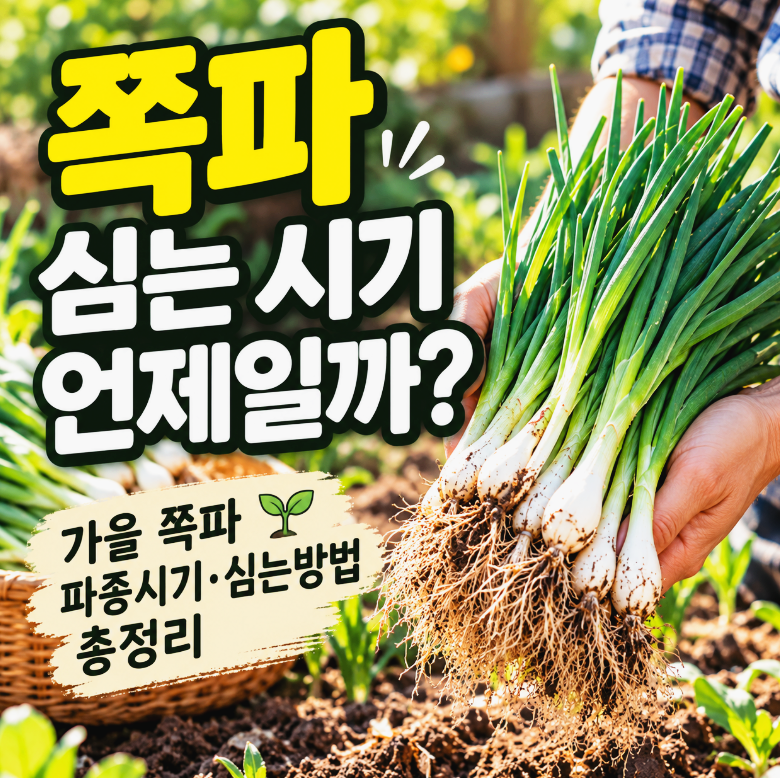 쪽파 언제 심을까? 가을 파종시기와 종구 심는 방법